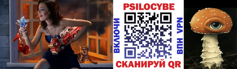 Псилоцибиновые грибы Magic Shrooms  где можно купить наркотик  Шумерля 